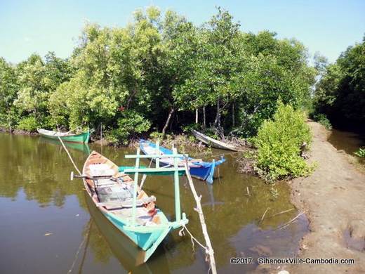 Kep Mangrove Forest In Kep Cambodia