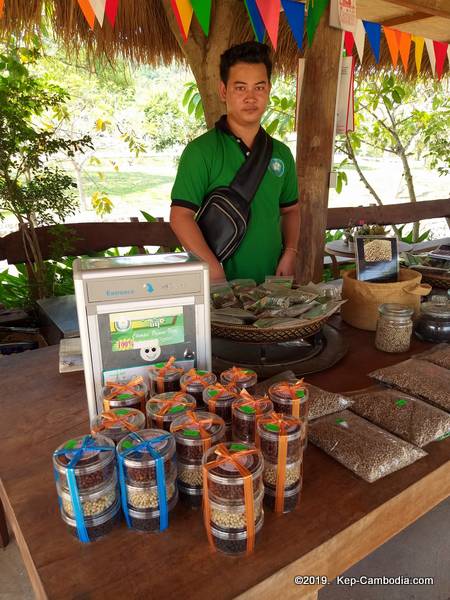 Champei Organic Farm in Kep, Cambodia.  Kampot Pepper.